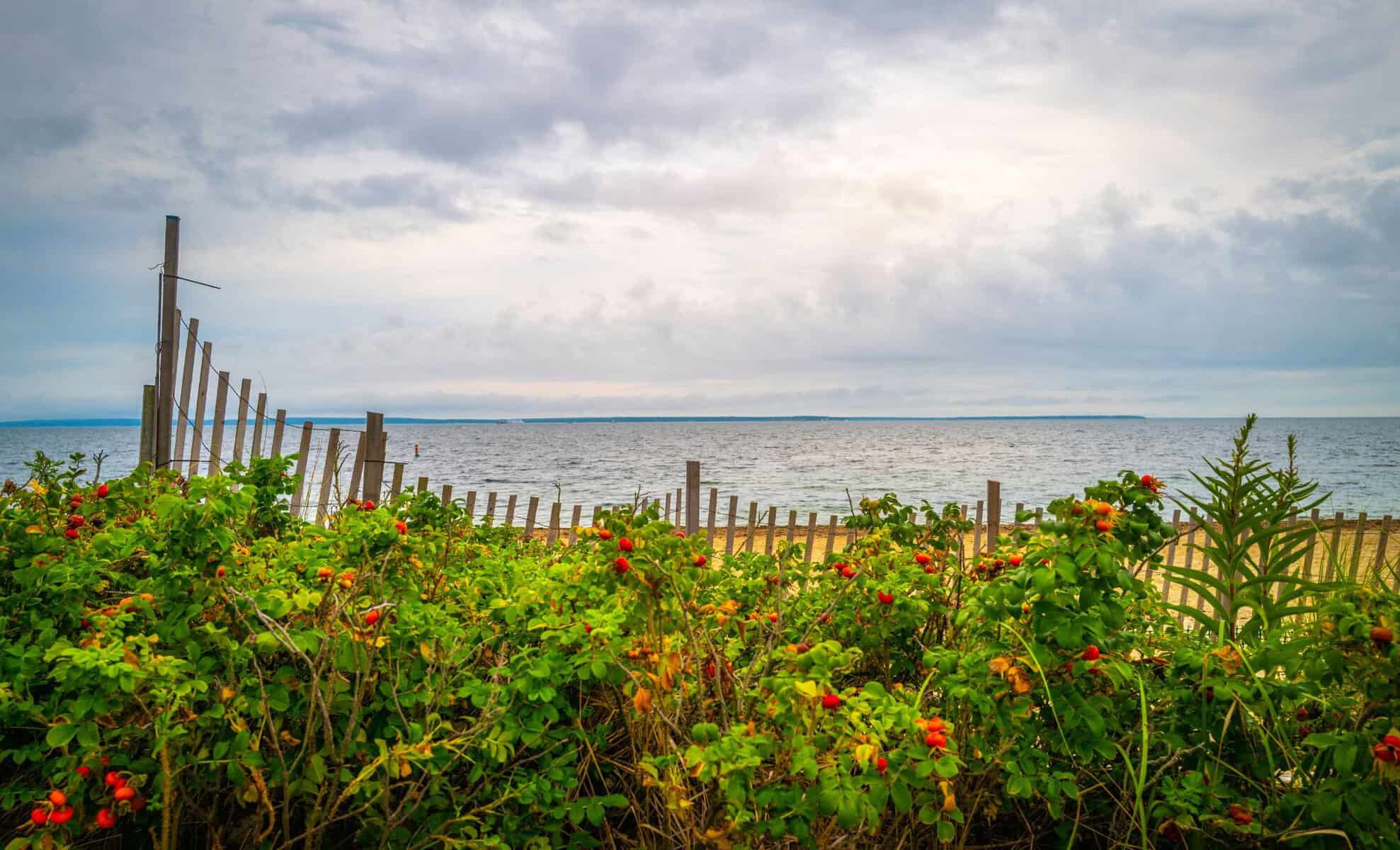 Marthas Vineyard Weather in May Overview