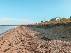 Panoramic view of Fuller Street Beach, featuring seaweed-strewn sand leading up to a row of beachfront houses, with a clear blue sky overhead. Edgartown Lighthouse in the distance